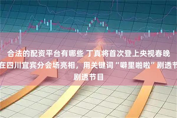 合法的配资平台有哪些 丁真将首次登上央视春晚，在四川宜宾分会场亮相，用关键词“噼里啪啦”剧透节目