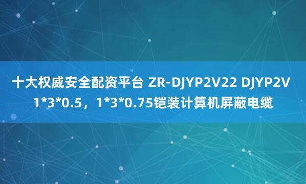 十大权威安全配资平台 ZR-DJYP2V22 DJYP2V 1*3*0.5，1*3*0.75铠装计算机屏蔽电缆